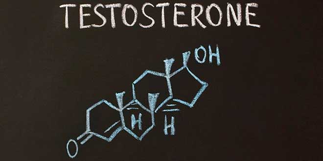 Top 10 Alimentos para aumentar a testosterona