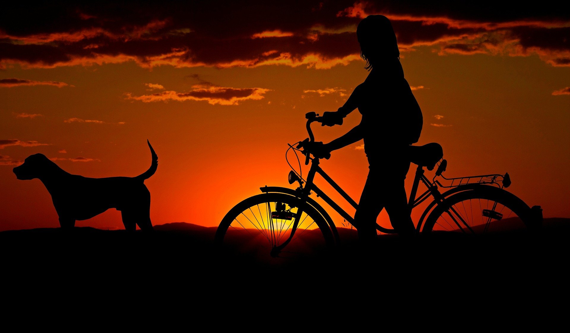 5 dicas para andar de bicicleta à noite