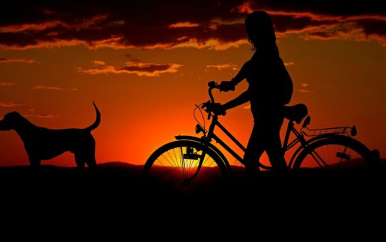 5 dicas para andar de bicicleta à noite